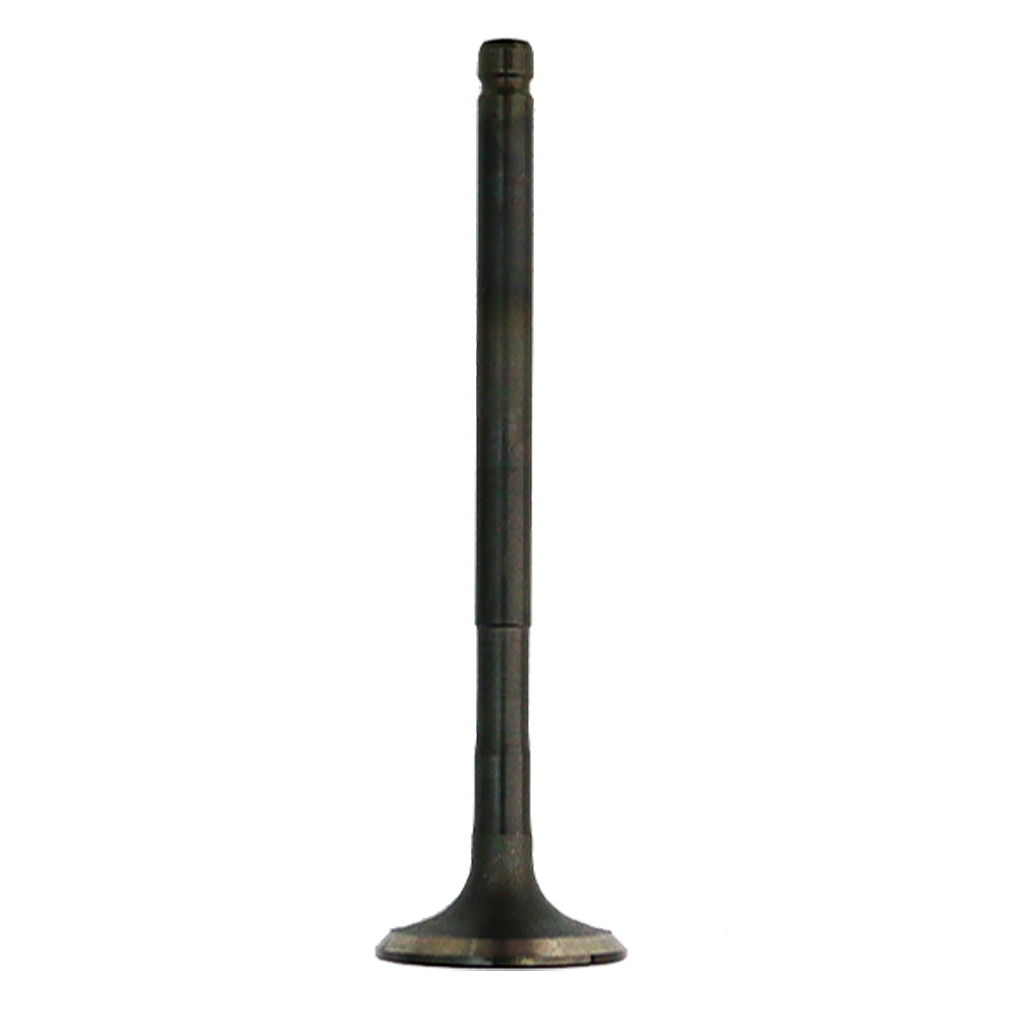 VALVE EXHAUST WW125 