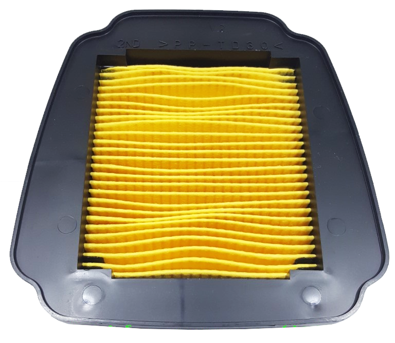 ELEMENT ASSY, AIR CLEANER EXCITER(T150)