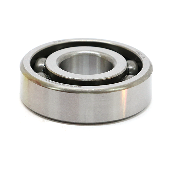 BRG,BALL RADIAL 6 NS110P/S 