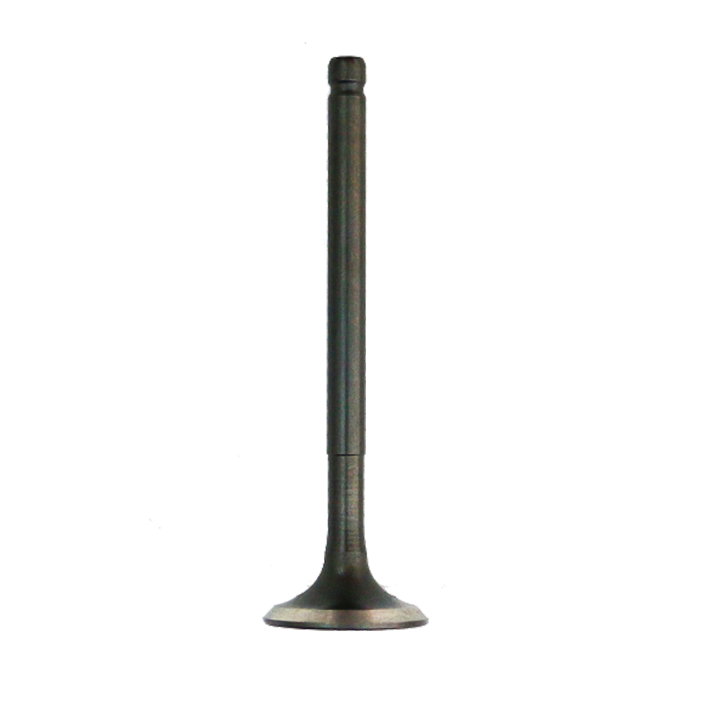 VALVE EXHAUST AND125/M 