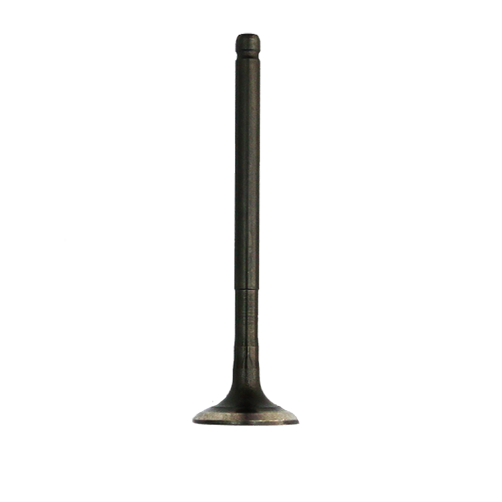 VALVE EXHAUST NC110CD 