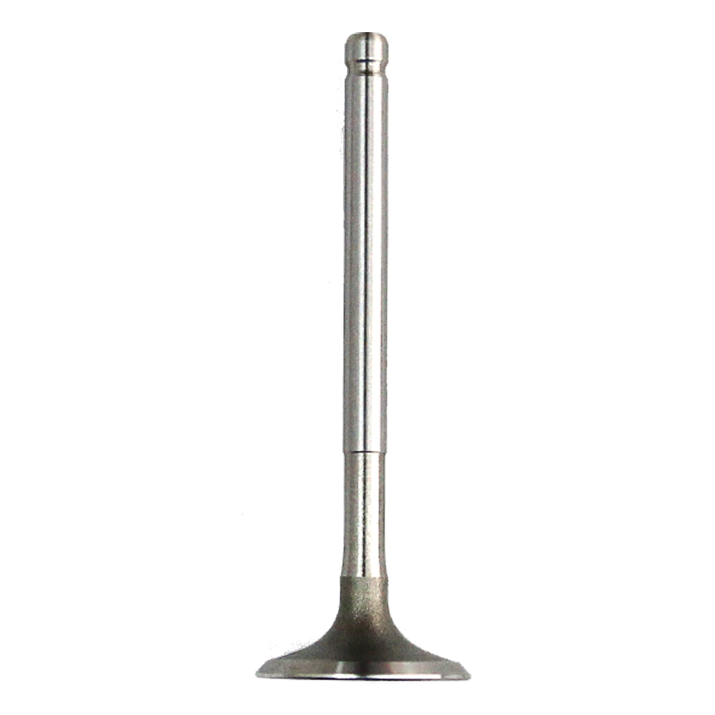 VALVE INLET ANF125/M/D/MD 