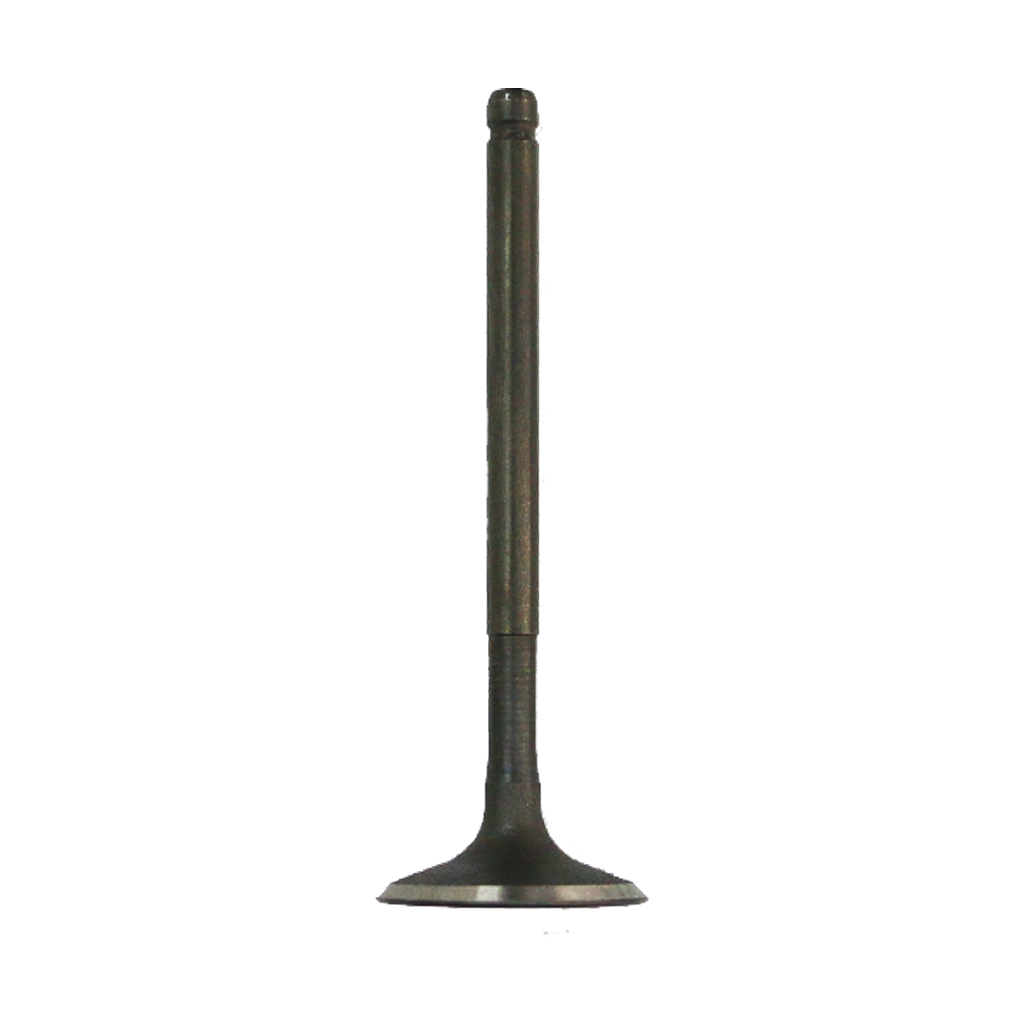 VALVE INLET NF110ST 
