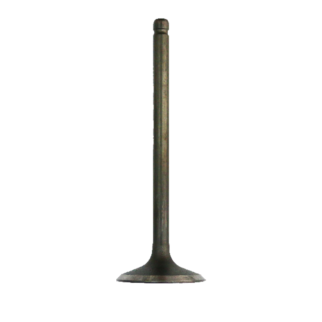 VALVE INLET WW125 