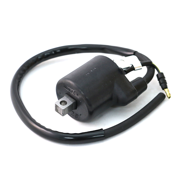 COIL ASSY,IGN. ANF125/M/D/MD 