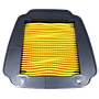 ELEMENT ASSY, AIR CLEANER EXCITER(T150)