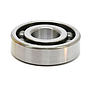 BRG,BALL RADIAL 6 NS110P/S 